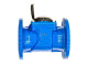 Турбинный счетчик для холодной воды Тепловодомер R110-100-430-B54 в Краснодаре